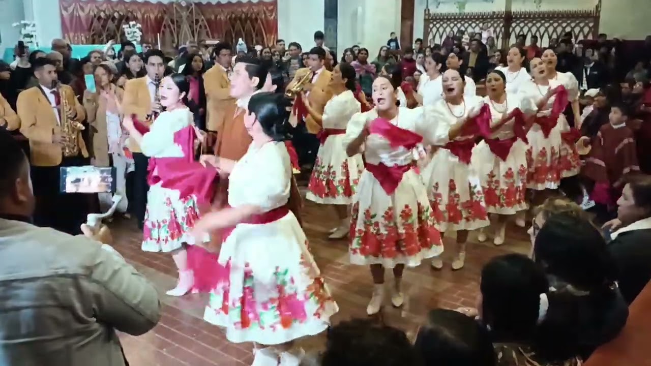 Pallas Huarinas en octubre del 2024.
