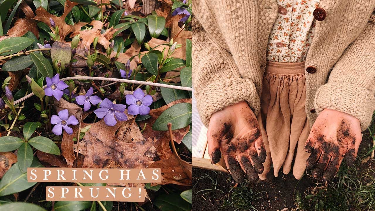 Planting Hope for Days to Come