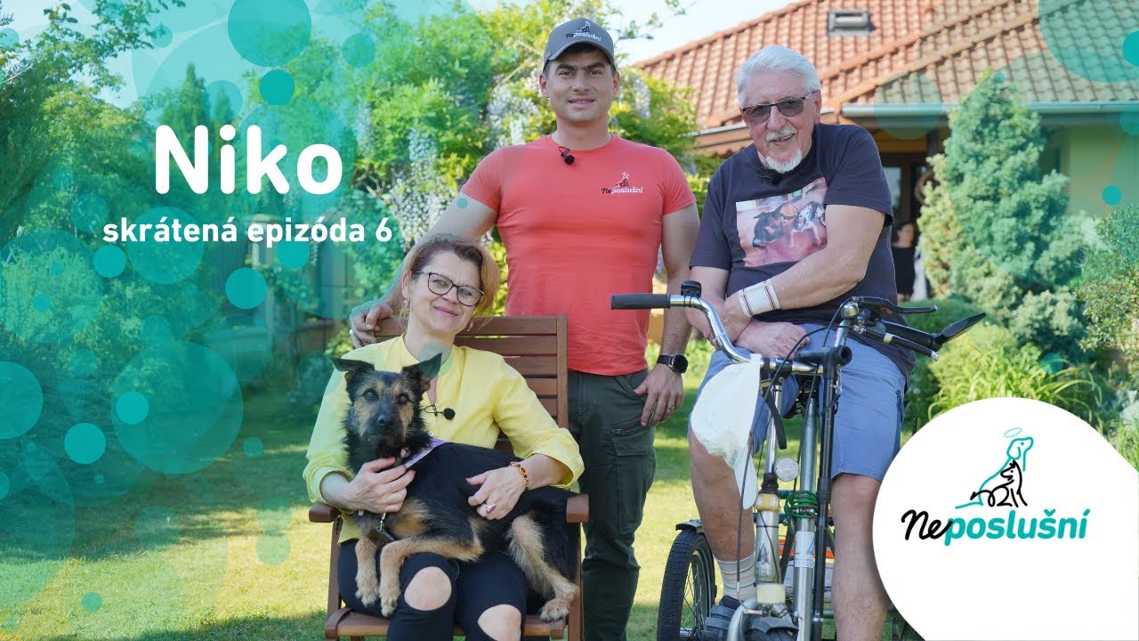 NEPOSLUŠNÍ (SKRÁTENÉ ČASTI):  Útulkáč Niko, ktorý už nemá nevyspytateľné reakcie