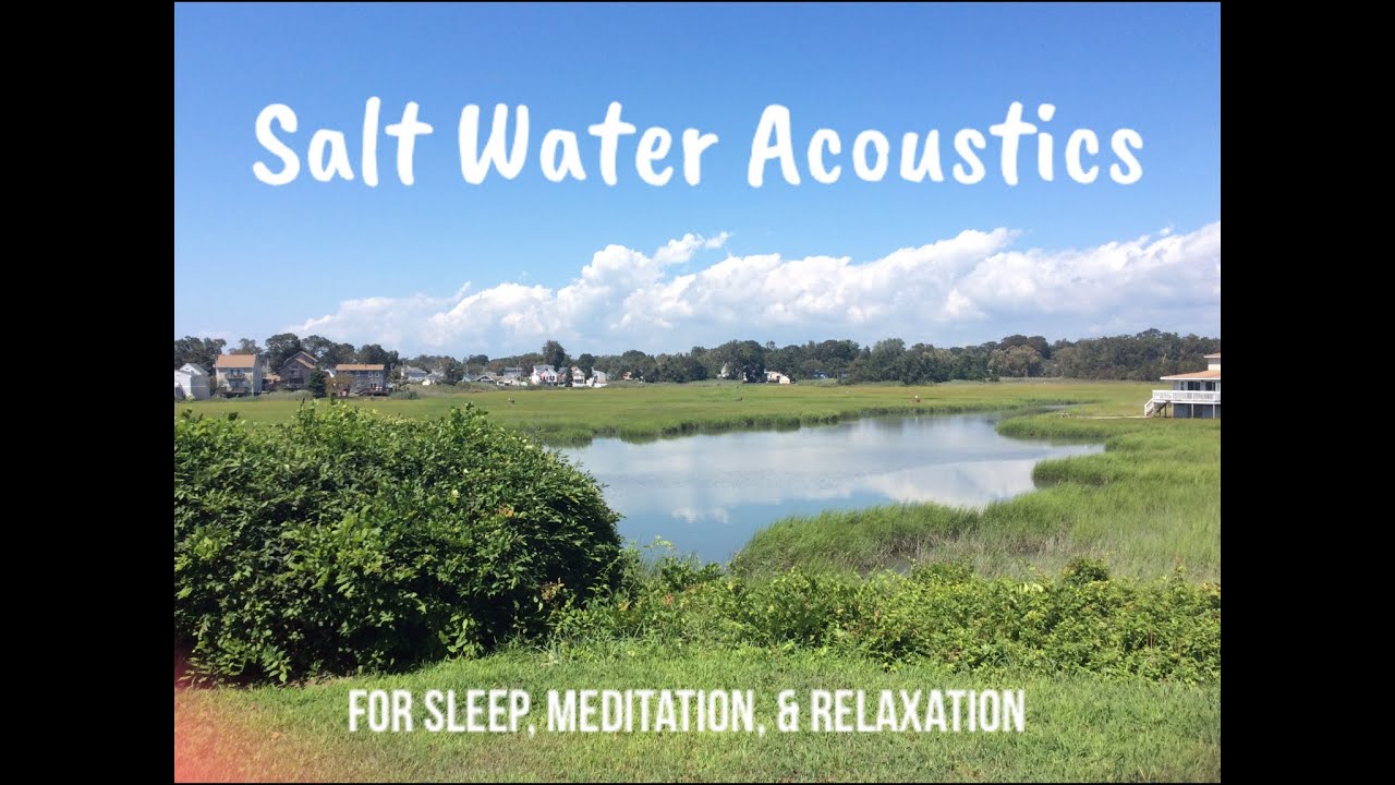 Beach Sounds For Sleep | Relaxing Waves for Meditation | Study With Me