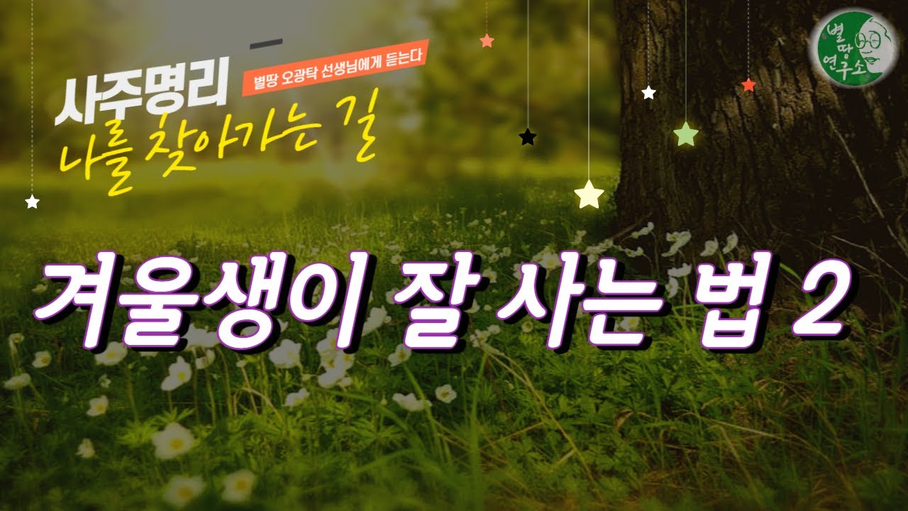 즐거움이 있다!! 겨울생이 잘 사는 법 2탄! [해/자/축]