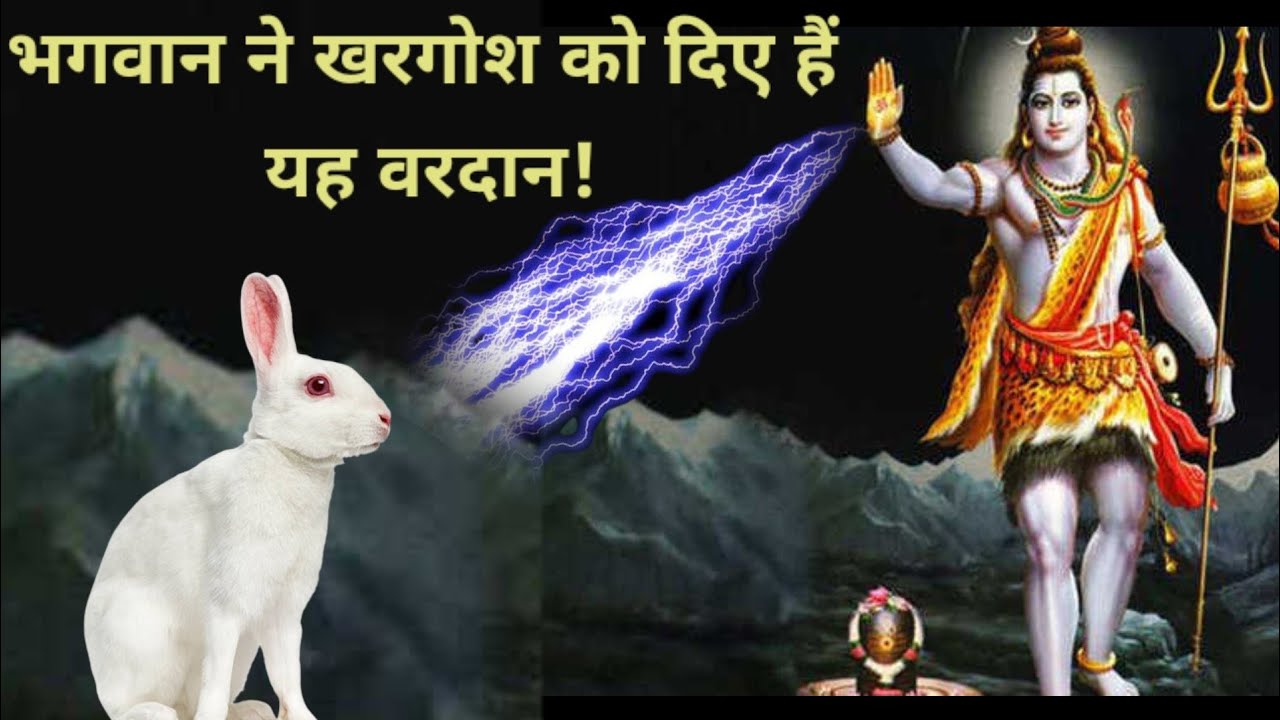 खरगोश को भगवान से क्या वरदान मिला है? Hindu Mythological Video!