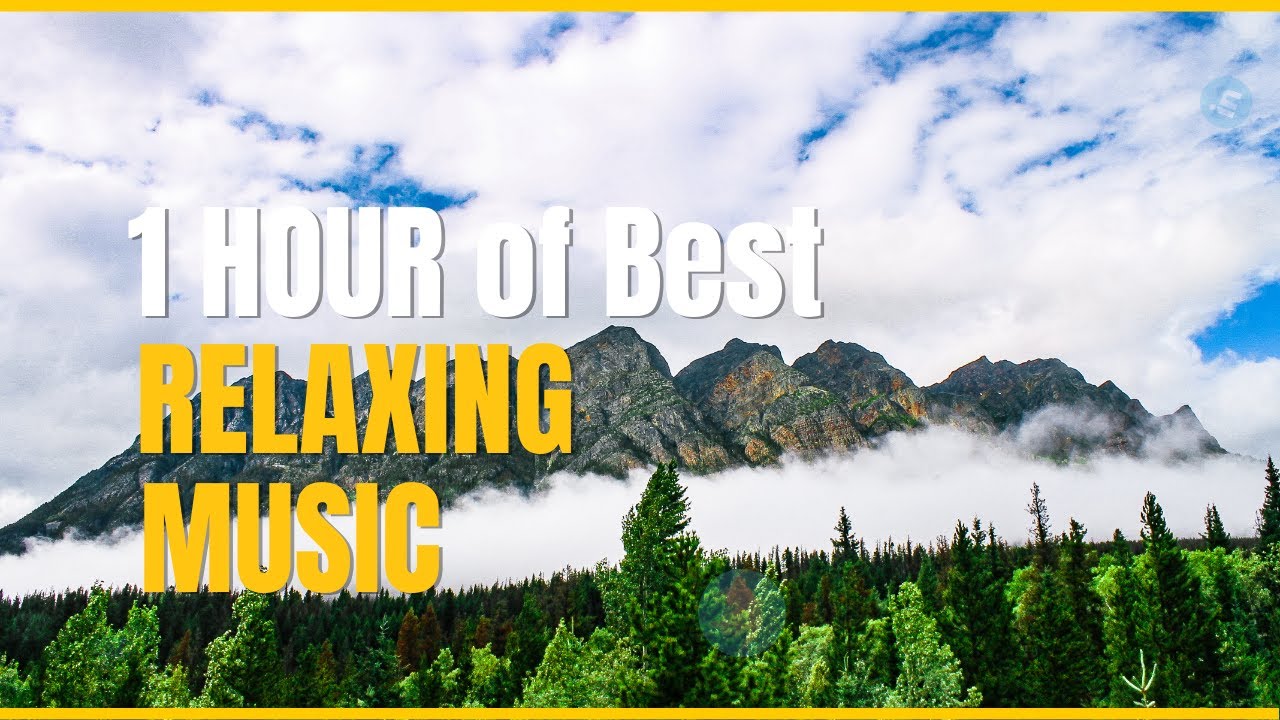 1 HOUR of Best Relaxing Music | Bamboo Flute | Sleep Music | Meditation Music | Peaceful Sleep Music