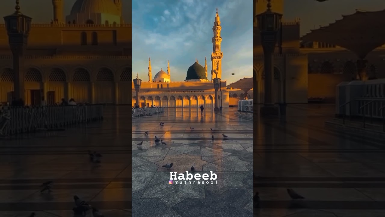 Habeebinod ishttam #nature #love #madhsong