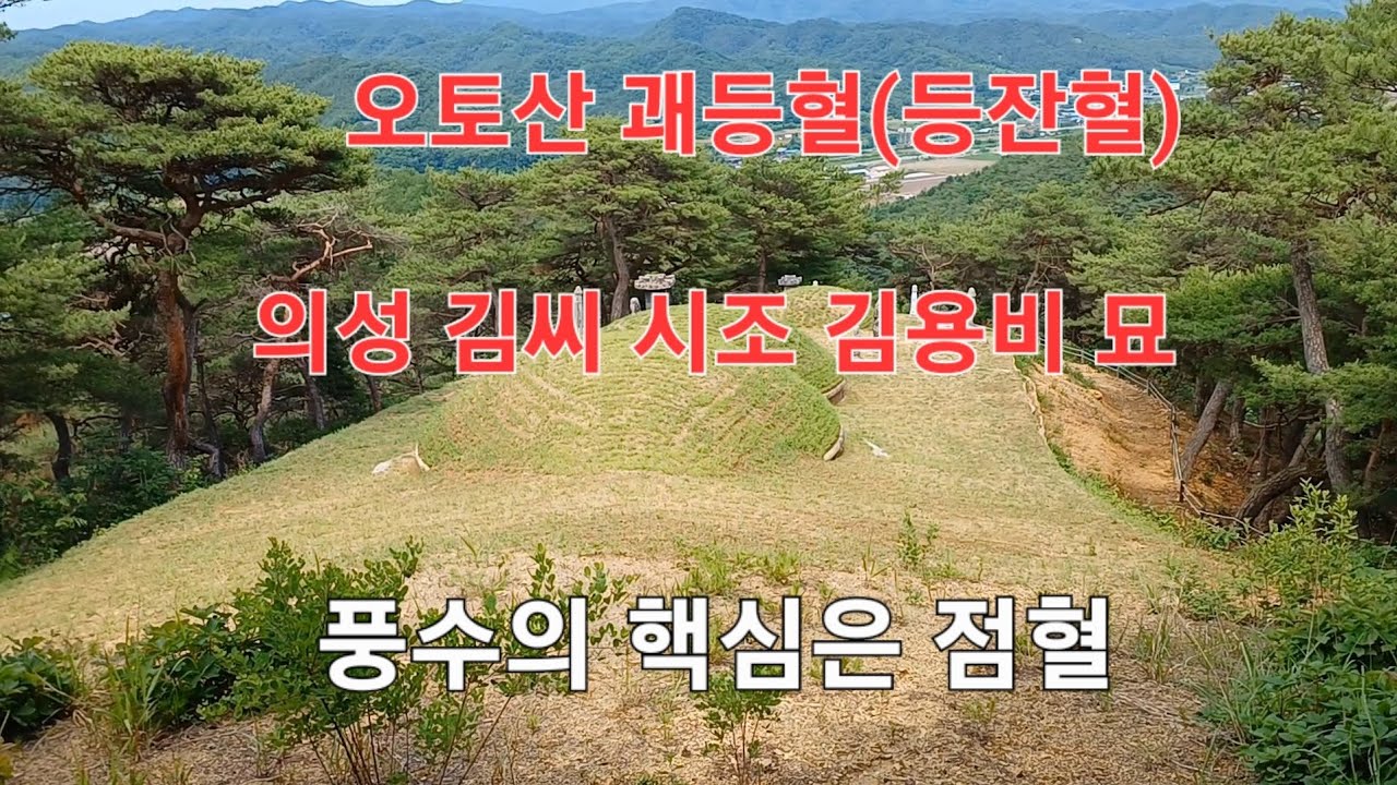 의성 오토산 다섯명당중 괘등혈(등잔혈)을 차지한 의성 김씨 시조 김용비 묘의 비밀을 살펴 봅니다