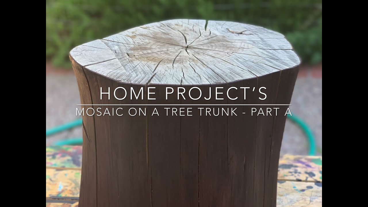 Home Project&rsquo;s - Mosaic On A Tree Trunk (Part A)