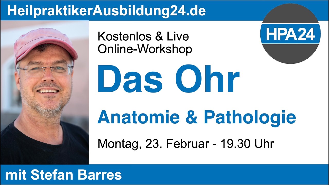 Das Ohr - Anatomie & Pathologie
