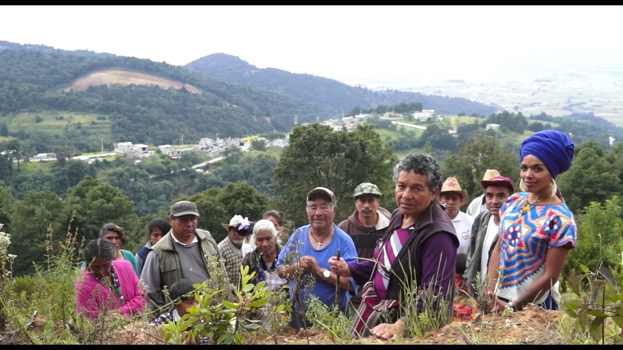 COMUN-UNIDAD