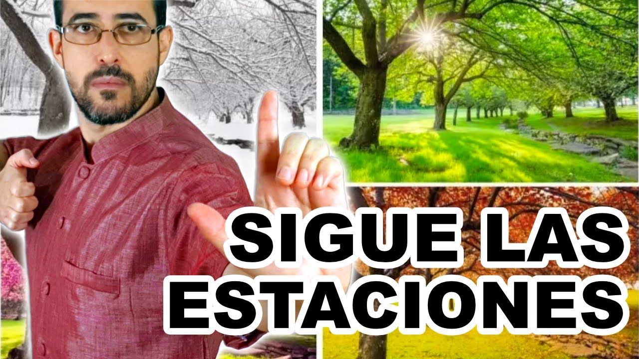 🚀 MEJORA el efecto de tu CHIKUNG Siguiendo las ESTACIONES. Charla con un té 17 🍵