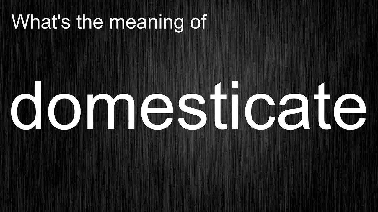 What's the meaning of 