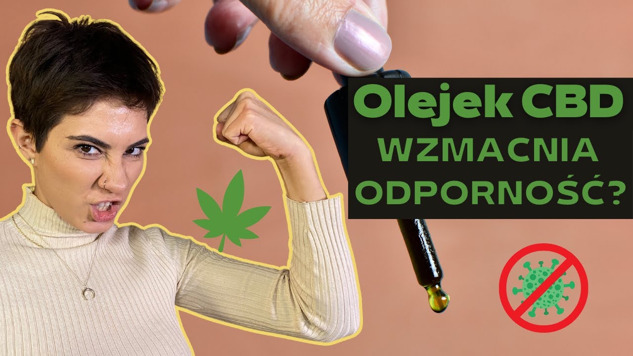 Czy olejek CBD poprawi Twoją odporność? 🌿