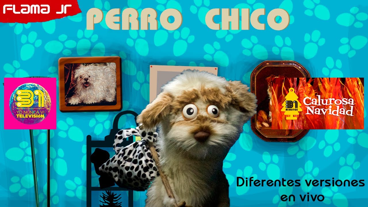31 Minutos - Perro Chico, pero con diferentes versiones en vivo - Flama Jr