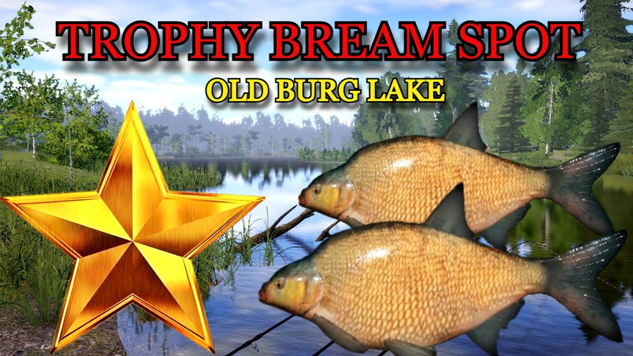 Russian Fishing 4 (RF4) Trophy Bream Spot on Old Burg Lake (No PVA)