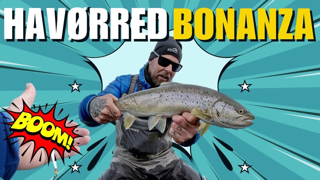 Havørred Bonanza - Tester ny agn