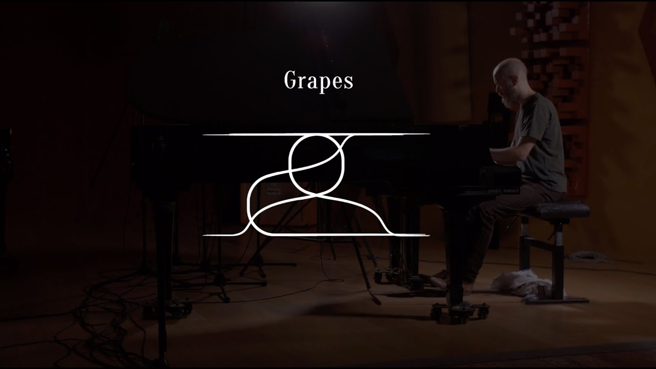 Augustin d'Assignies - Grapes (in the making)