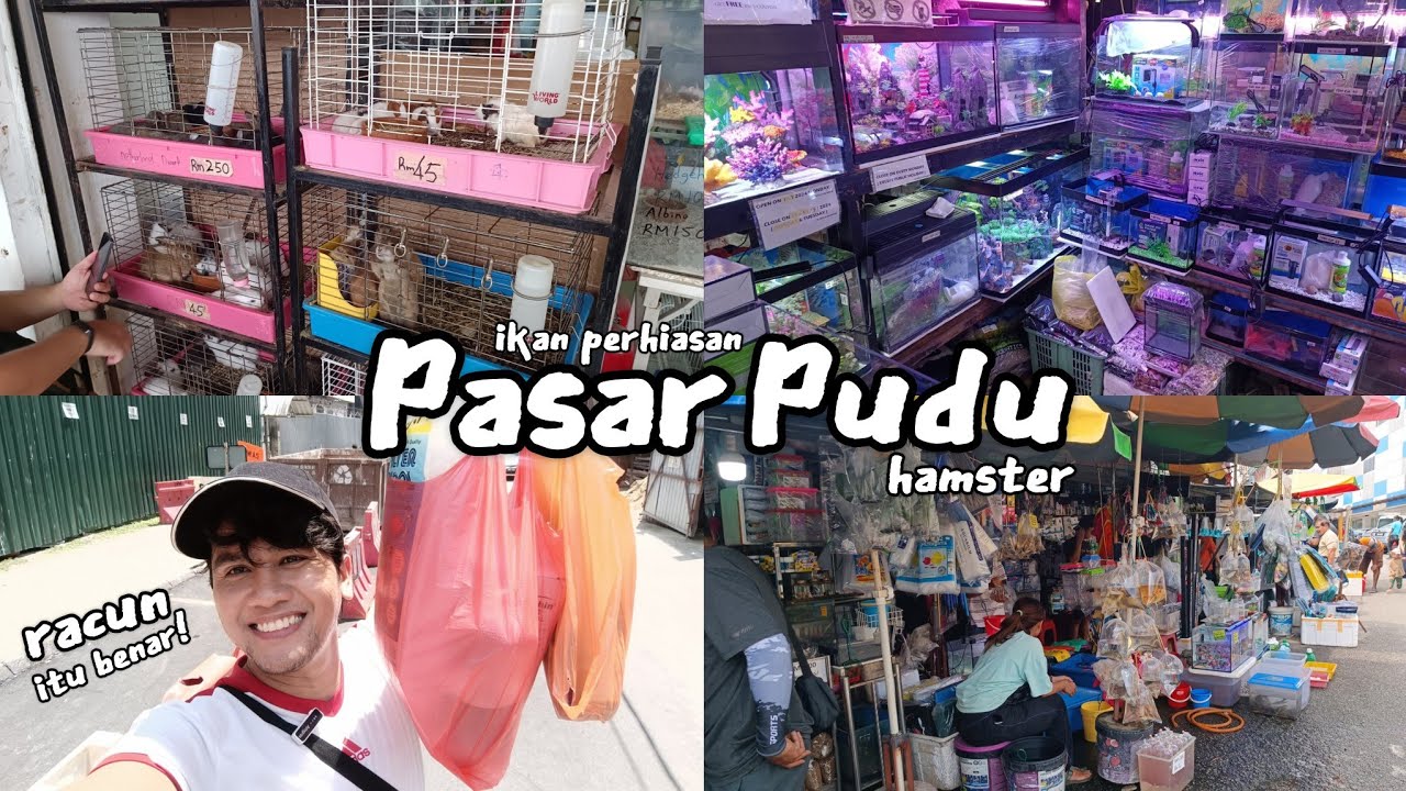KEDAI HAIWAN PERLIHARAAN PASAR PUDU | BELI IKAN PERHIASAN DI PASAR PUDU | Malaysia Living Alone Vlog