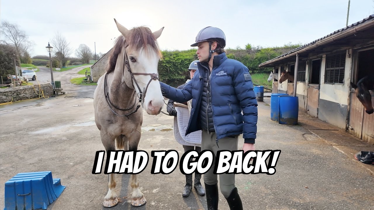 I Went Back to the UK to Shop For a Hunting Horse