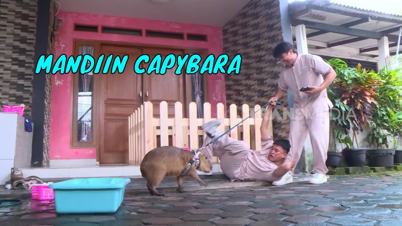 Hebohnya Anwar & Billy Jadi Pengasuh CAPYBARA! | BIKIN SENENG (07/02/26) Part 2