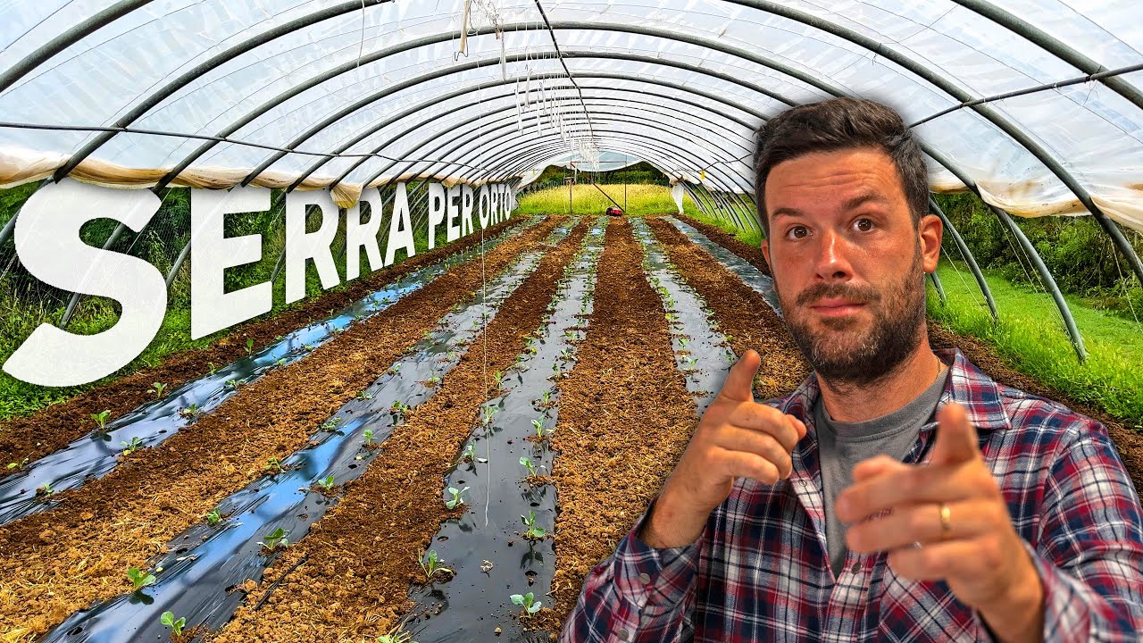 ORTO IN SERRA: tutto quello che devi sapere