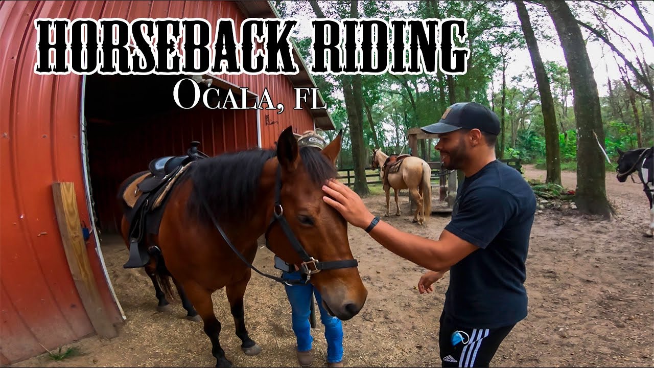 THE CANYONS HORSEBACK RIDING | OCALA FL