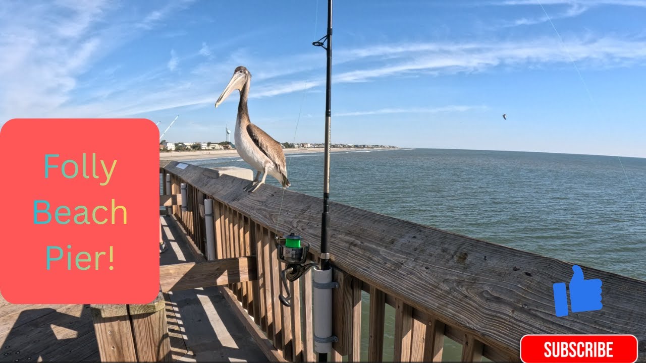 Pier Fishing Adventure at Folly Beach!