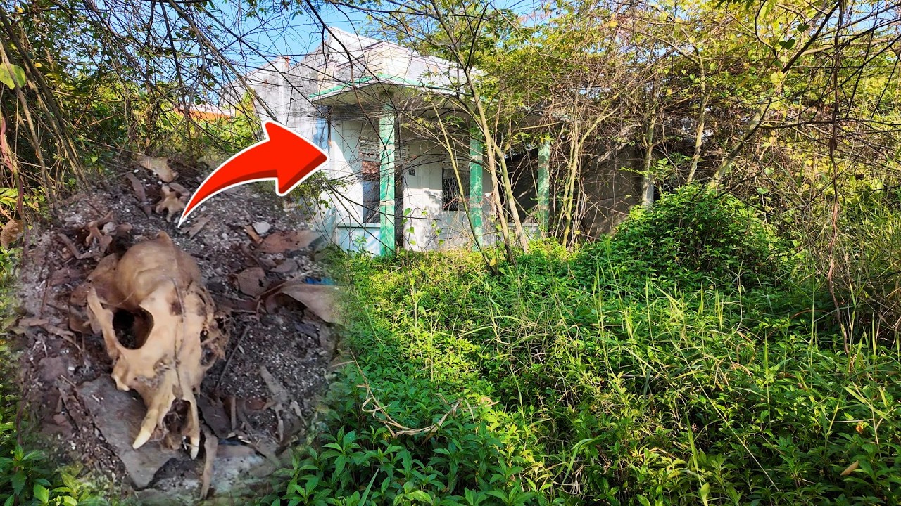 SHOCKING Discovery &mdash; Something Found Inside a House ABANDONED for 10 Years