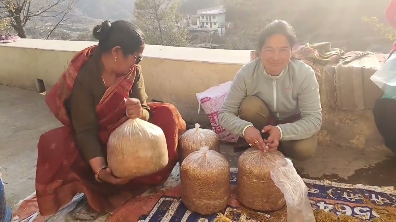 #minivlog #मशरूम🍄🍄🍄 की तैयारी#