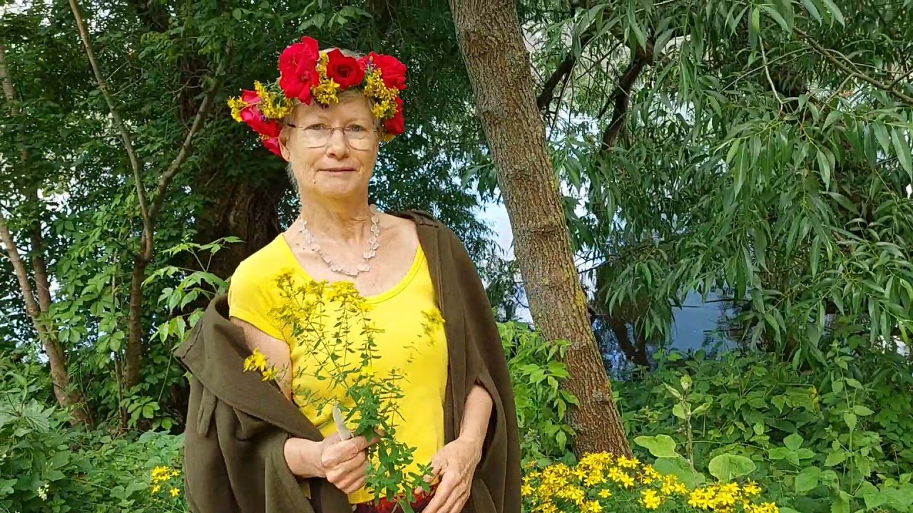 Das Johanniskraut - Wissenswertes und Anwendungen: Öl, Tinktur, Tee