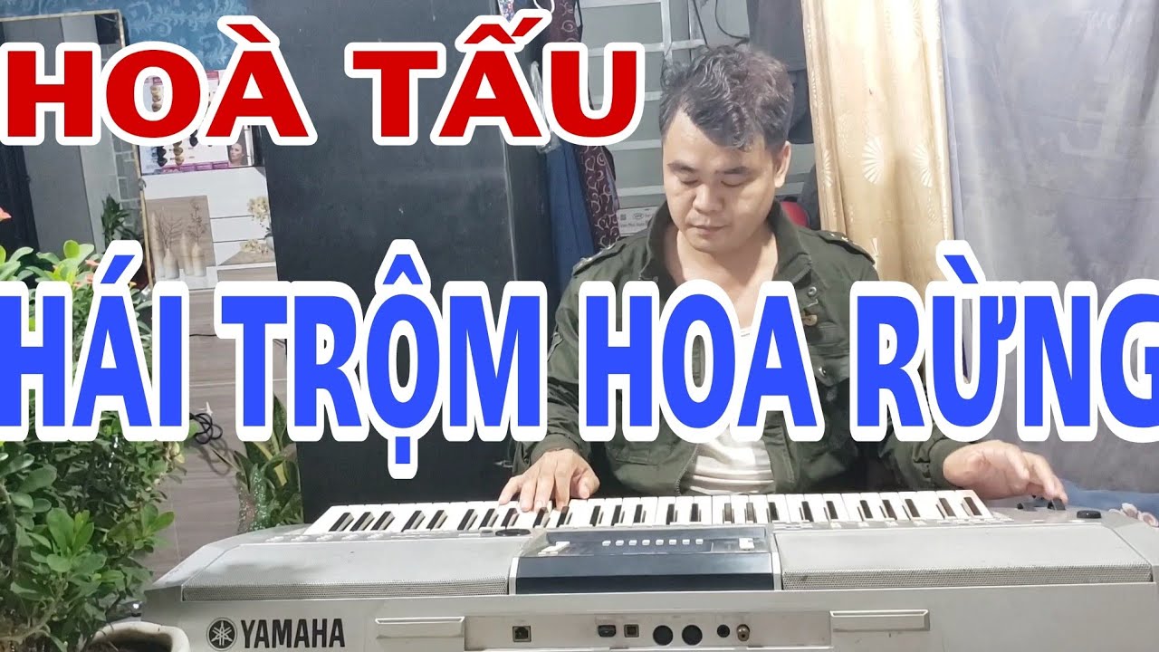 Hoà tấu// Hái trộm hoa rừng// organ thanhcnc