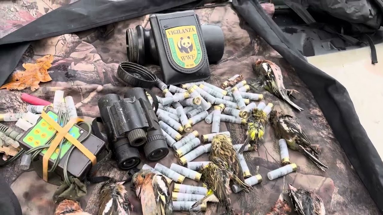 Bracconaggio: arresto a Brescia delle Guardie WWF