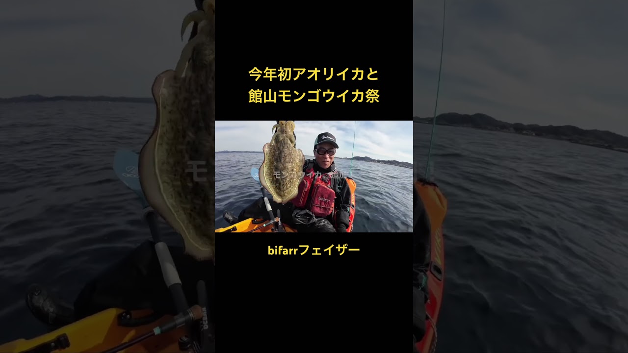 小さくても嬉しい2026年初アオリイカ！