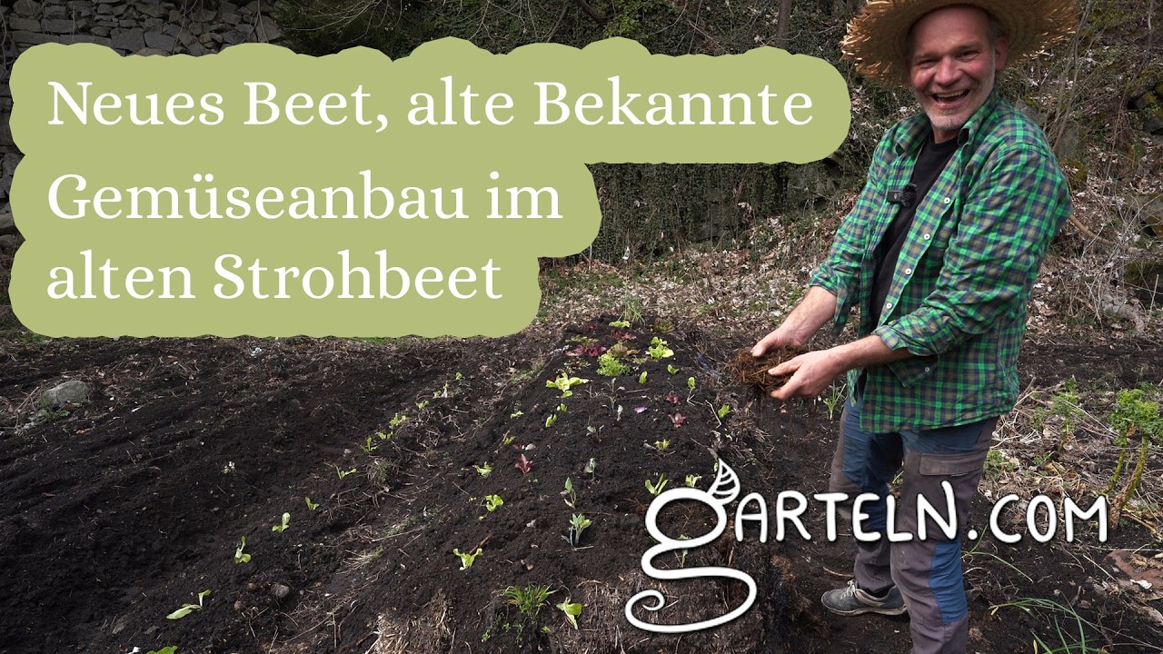 Hügelbeet mit Stroh & erste Ernte-Vorfreude! Unser Gemüsebeet im Steinbruch erwacht!