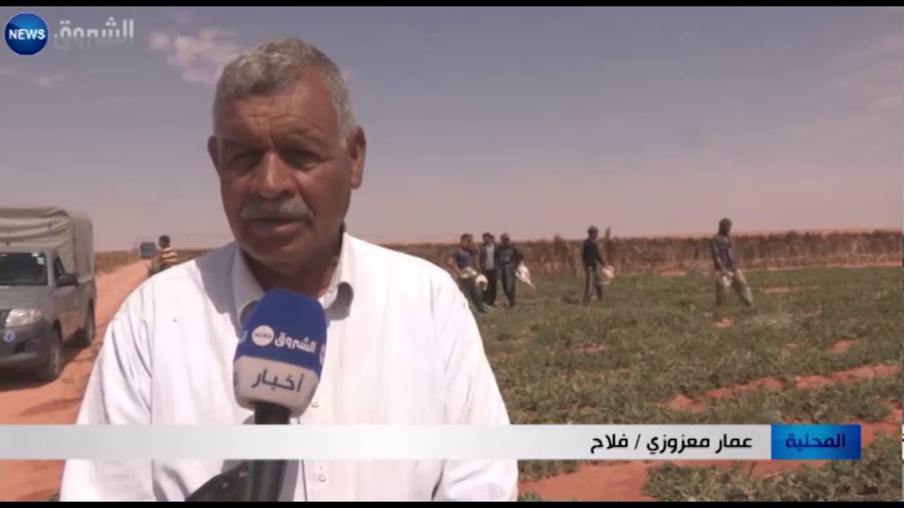 الوادي: عمار مازوزي نموذج في القضاء على البطالة بمنطقة المرارة