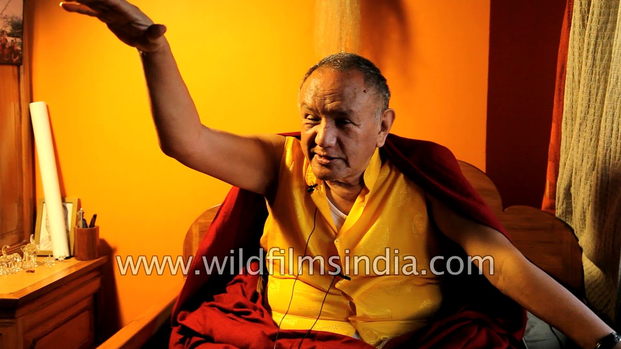 Ogyen Tobgyal Rinpoche on sentient being and vegetarianism