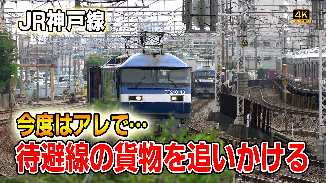 【JR貨物】また待避線の貨物を追いかける　2025年9月
