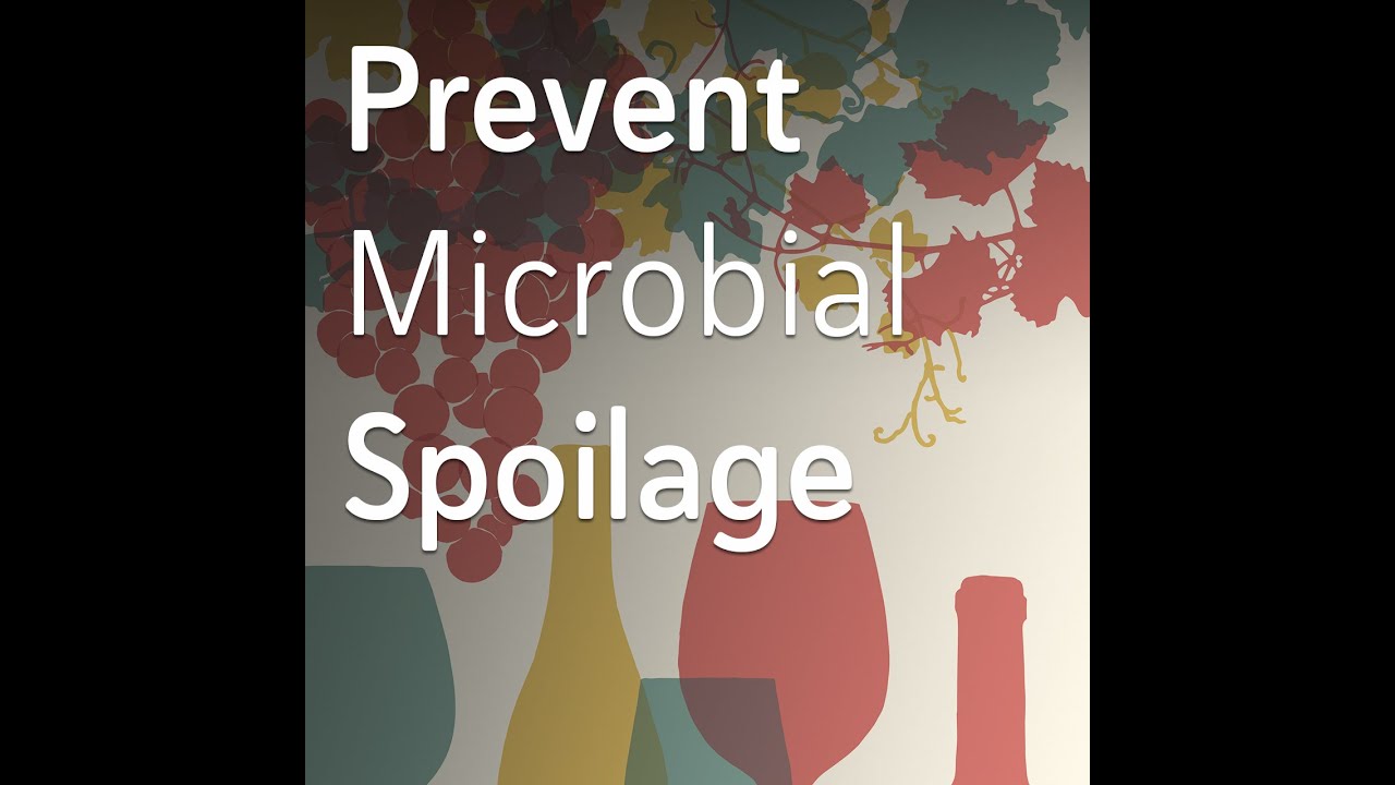 Taming the Beasts Within Your Wine: New & Old Ways to Prevent Microbial Spoilage