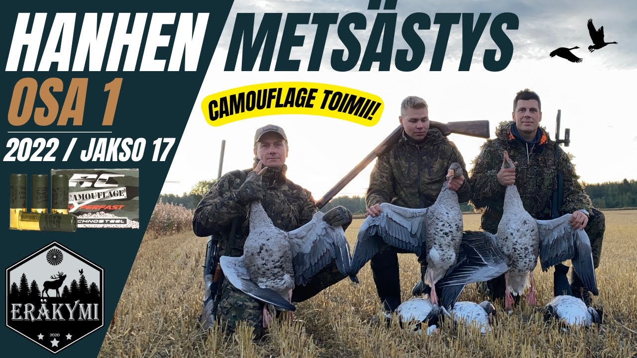 HANHEN METS&Auml;STYS 2022 | MERIHANHIEN KUVASTUSTA PUIDULLA PELLOLLA