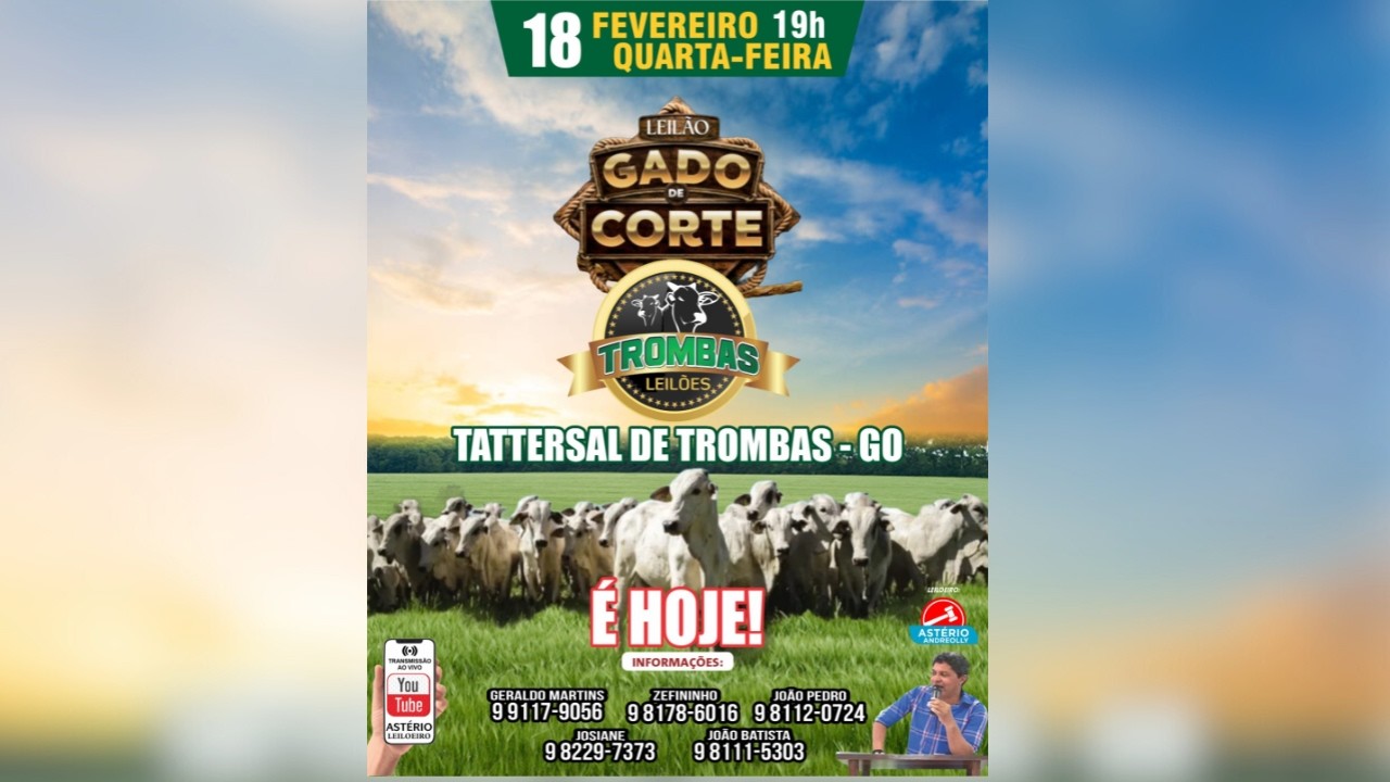 LEILÃO DE GADO DE CORTE TROMBAS LEILÕES - TROMBAS GOIAS  - 18/ 02/ 2026