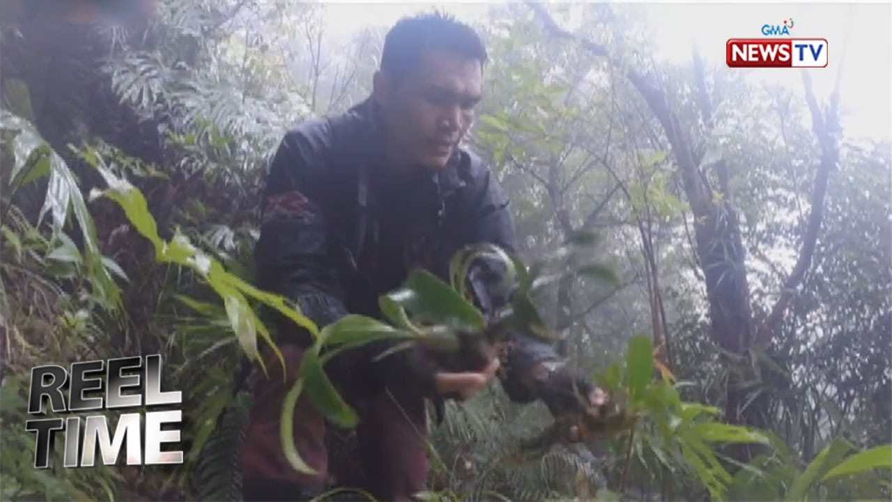 Reel Time: Ang pakikipagsapalaran ng isang orchid hunter sa kagubatan