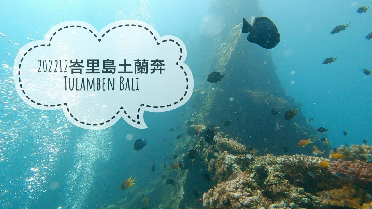 202212峇里島土蘭奔 ep.1 Tulamben Bali｜自由號沉船 USAT Liberty Shipwreck｜休閒潛水Fun Diving【Who in life 虎穎生活】