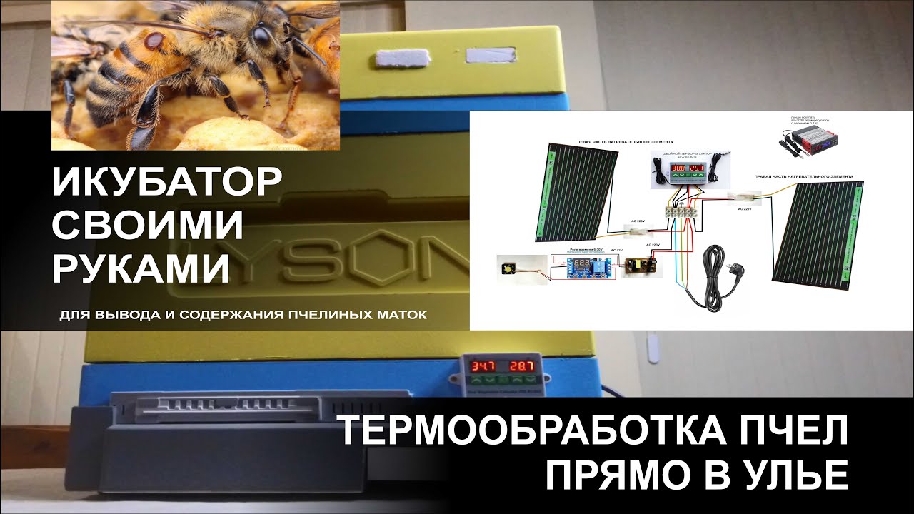 5 Умный Улей. Термообработка пчел прямо в улье. Инкубатор для вывода маток. Лысонь. улей LYSON