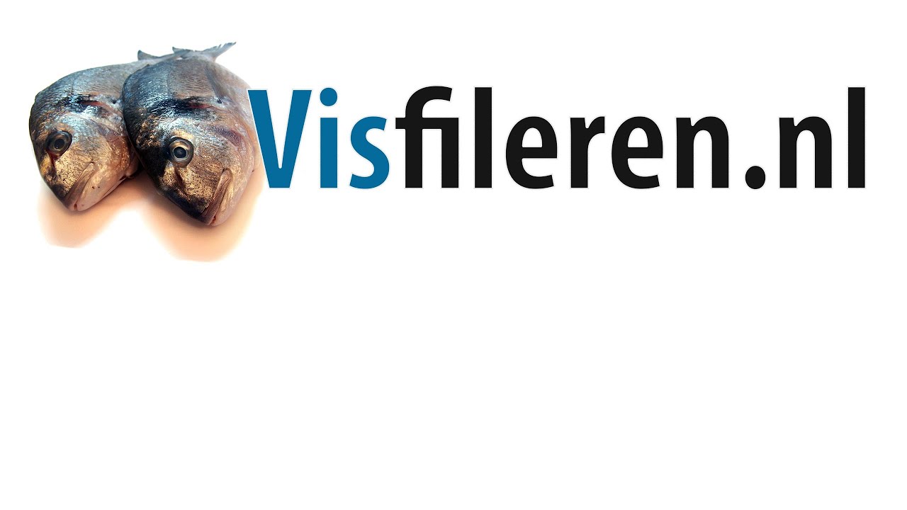 Zalmforel fileren