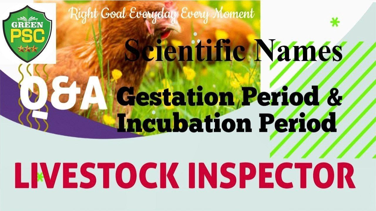 Livestock Inspector Gr.II l Q&A l Scientific Names, GP and IP l GreenPSC l Kerala Psc