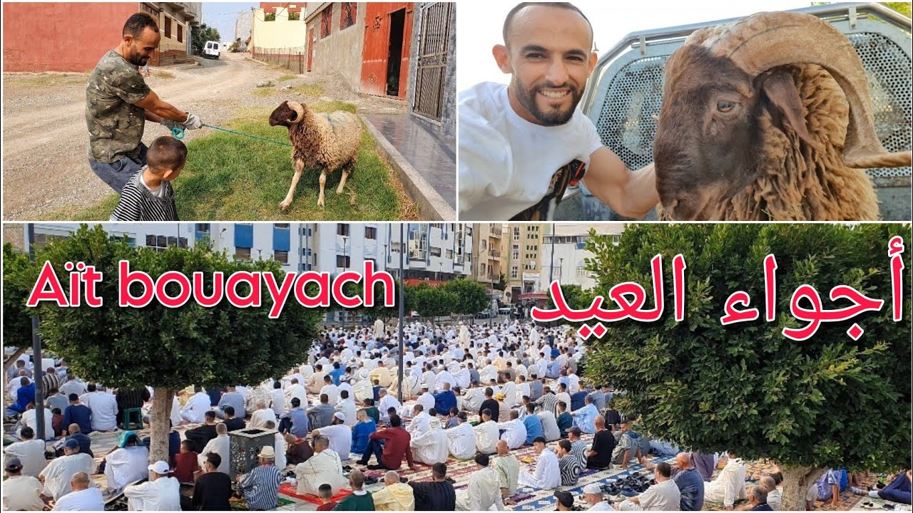 أجواء العيد بأيث بوعياش الحسيمة/ نقل أضحية العيد، صلاة العيد، الشواء...