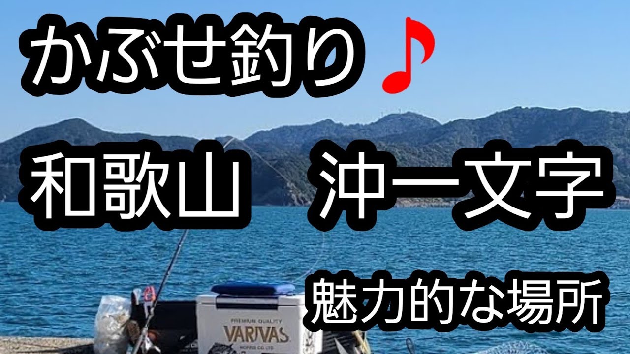 かぶせ釣り　和歌山一文字　魔の巣窟へリベンジ　石鯛狙い釣行♫　イシダイ60への道Ver3】