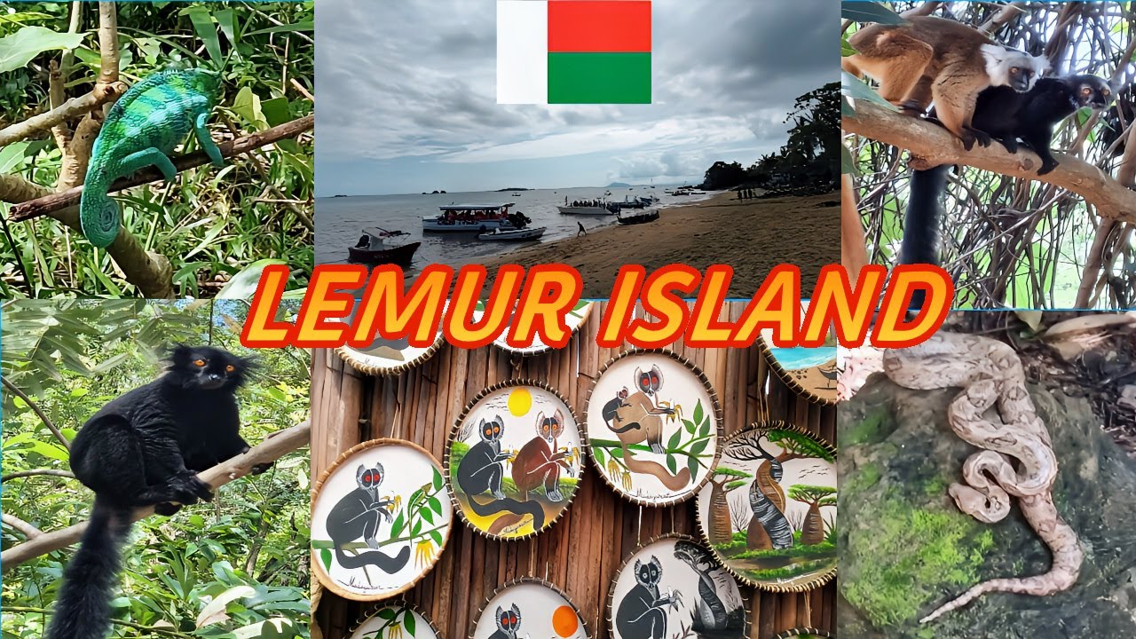 LEMUR ISLAND MADAGASCAR (NOSY KOMBA)
