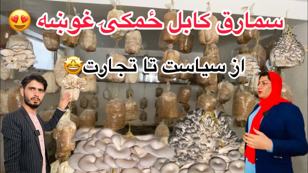 ایجاد اولین فارم سمارق در کابل توسط بانوان افغان | په کابل کې لومړی ځل لپاره د ځمکۍ غوښې فارم جوړیدل