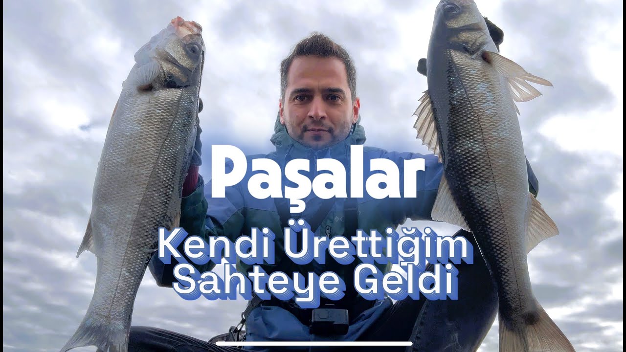 Paşa Levrekleri Kendi Ürettiğim Sahte İle Yakaladım! Heyecan Dolu Av! #levrek #balıkavı #uskumru