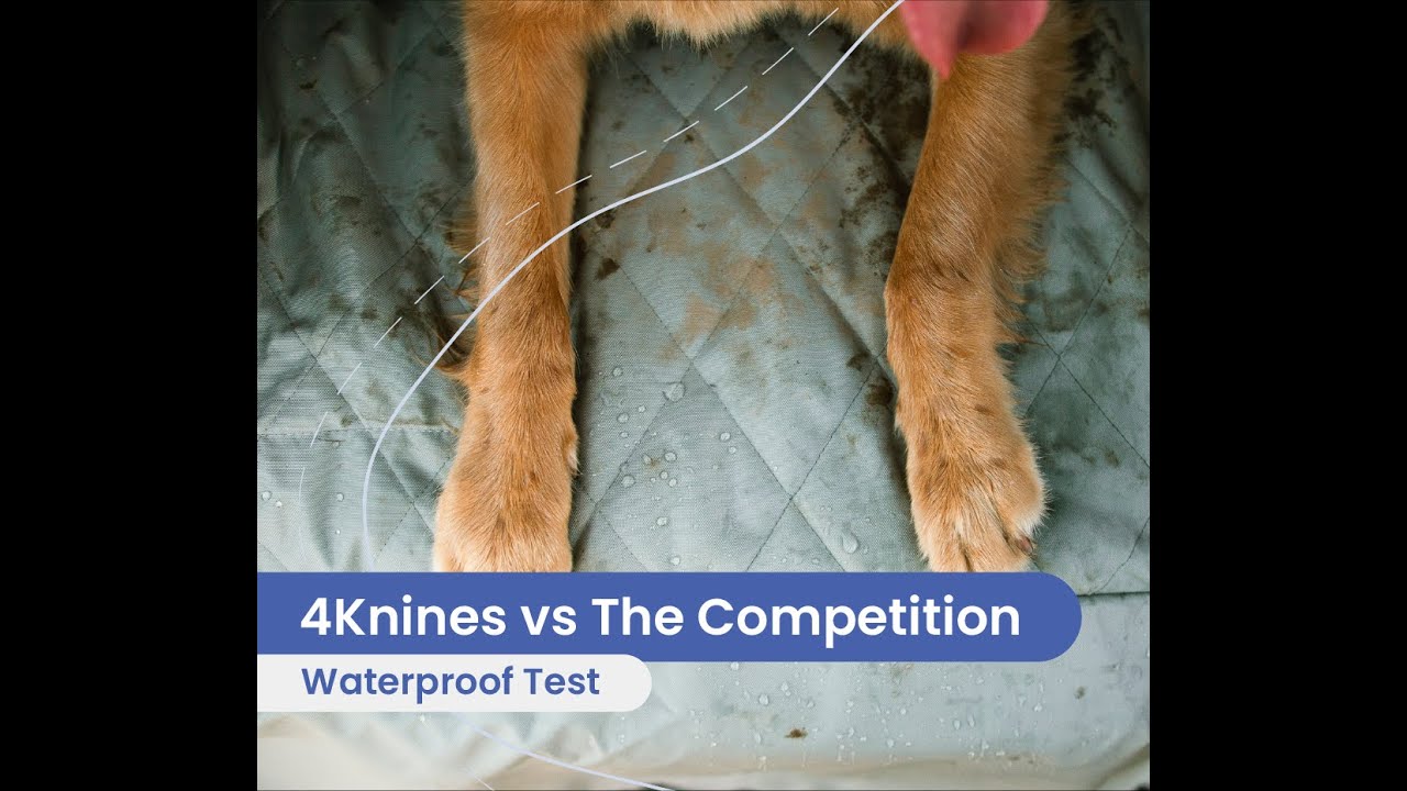 Are Dog Seat Covers Waterproof?  A Deep Dive On The Competition By 4Knines