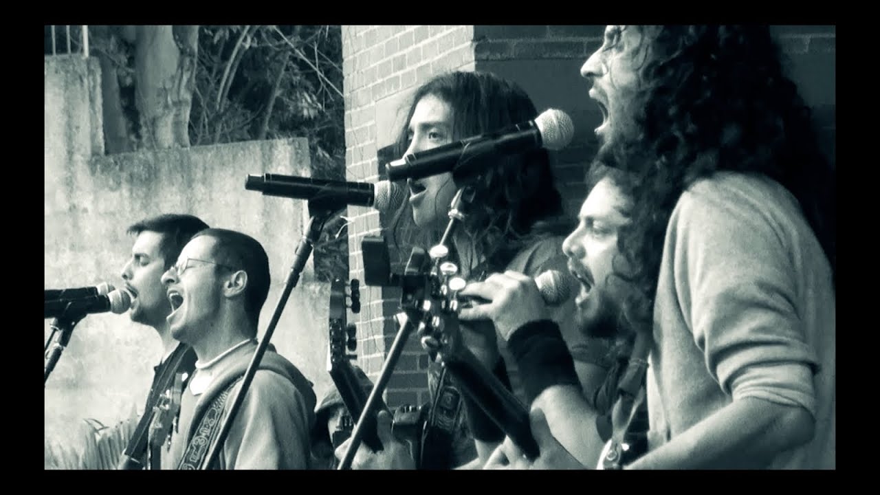 Desarme - El baile contra la motosierra